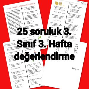 3-sinif-3-hafta-degerlendirme-testi