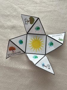 dunyanin-dolanma-hareketi-etkinlik