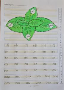 n-sesi-hece-ve-kelimeleri-defter-calismasi-nane