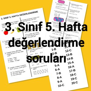 3-sinif-5-hafta-degerlendirme-testi