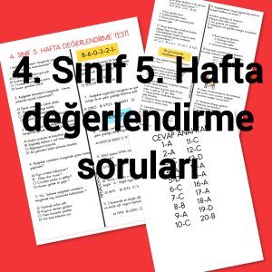 4-sinif-5-hafta-degerlendirme-testi