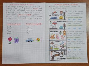 varliklarin-hareket-ozellikleri-defter-calismasi