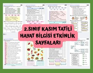 2-sinif-kasim-ara-tatili-odevi-hayat-bilgisi