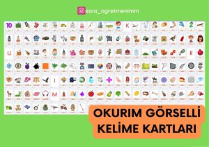 okurim-ses-grubu-gorselli-kelime-kartlari