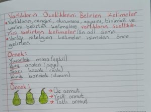 varliklarin-ozelliklerini-belirten-kelimeler-konu-ozeti